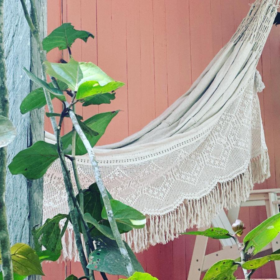 Solea Tropical