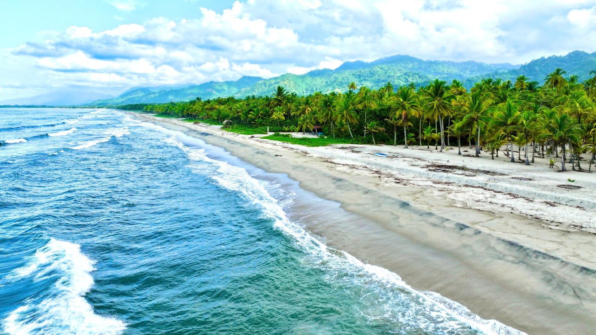 Solea Tropical