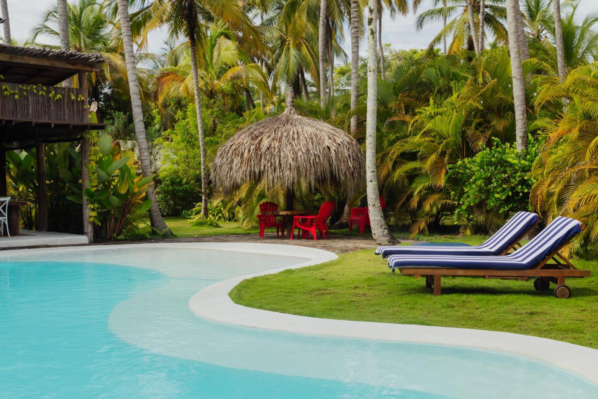 Solea Tropical