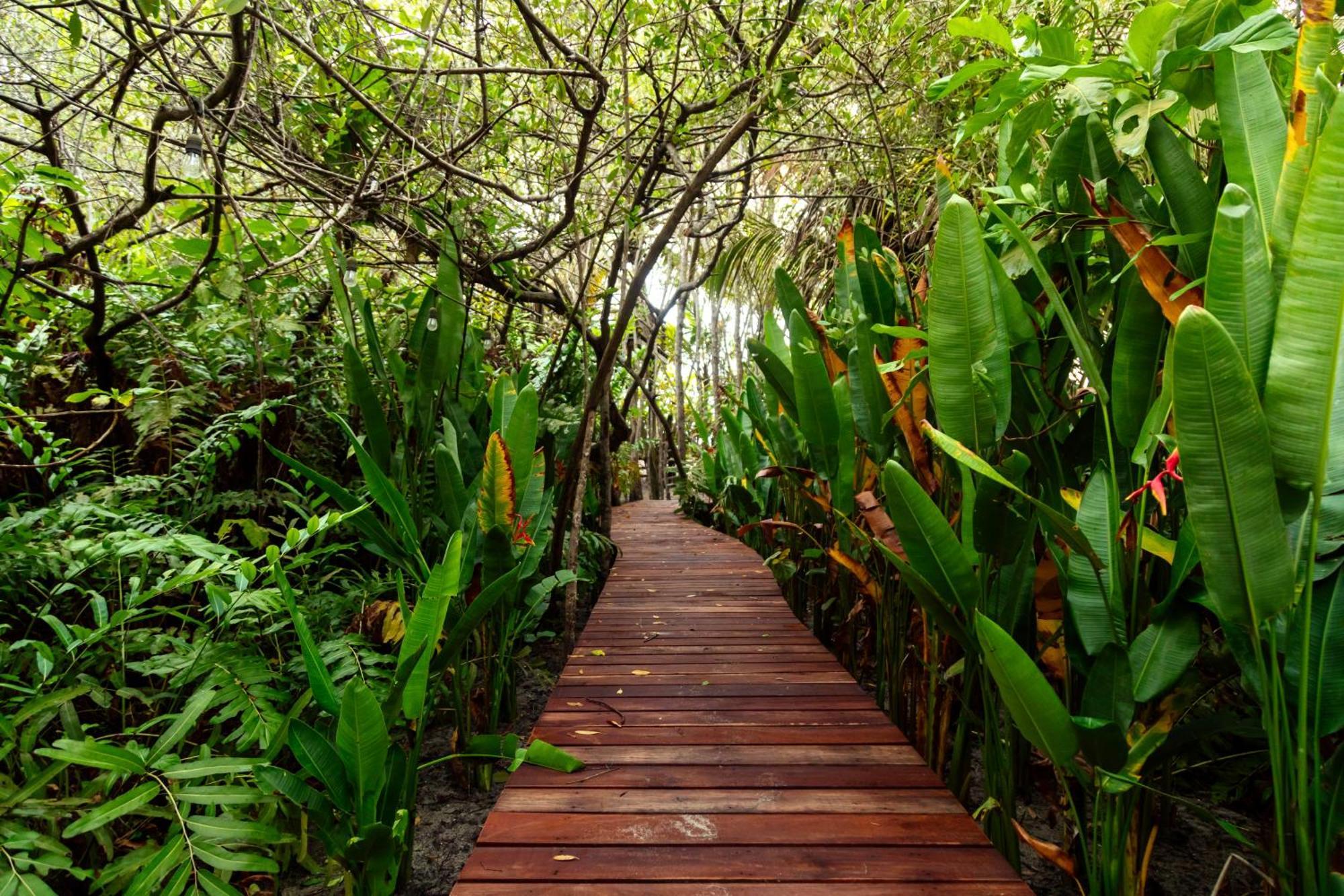Solea Tropical Santa Marta (Magdalena)