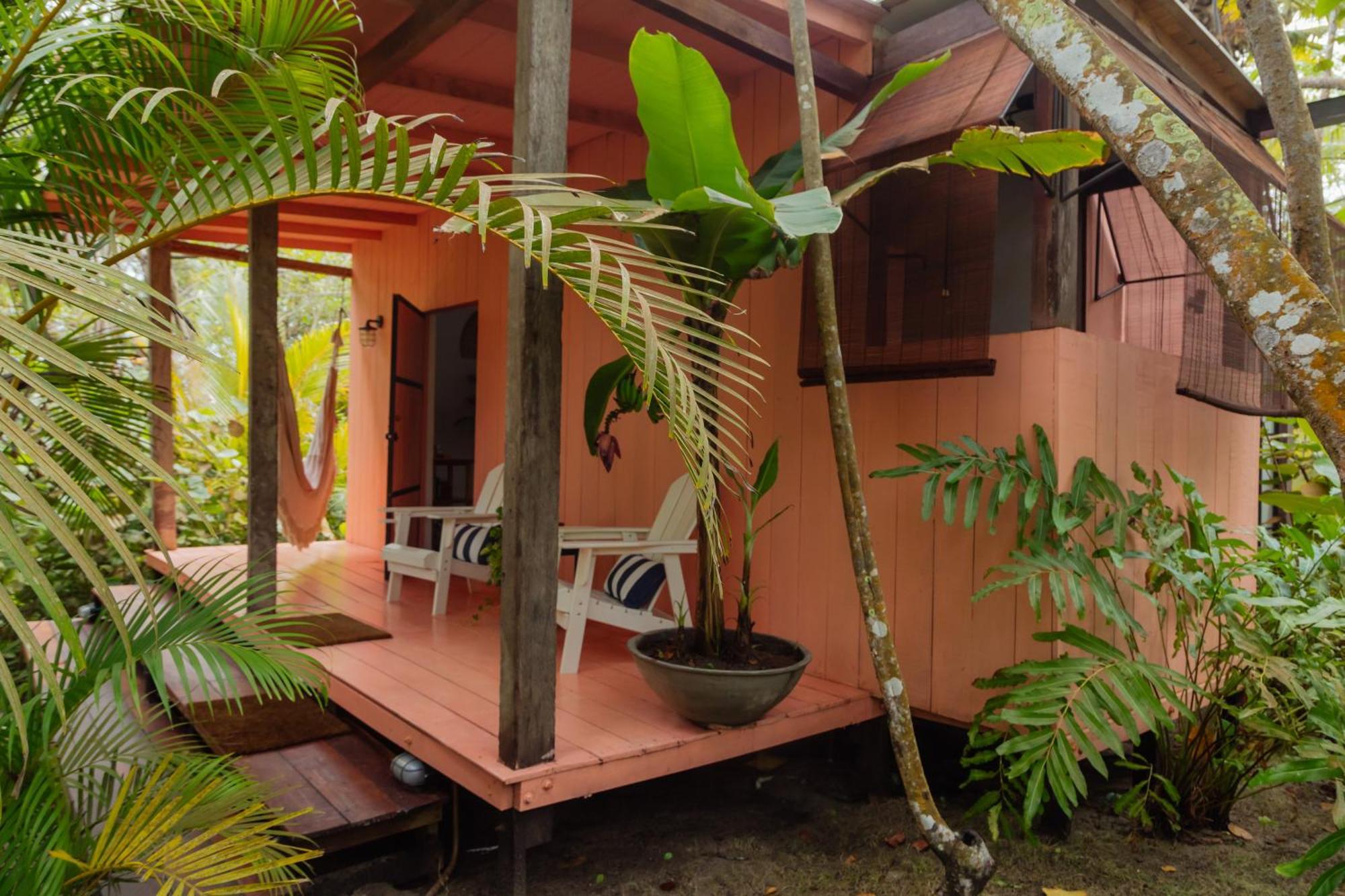 Solea, Tropical