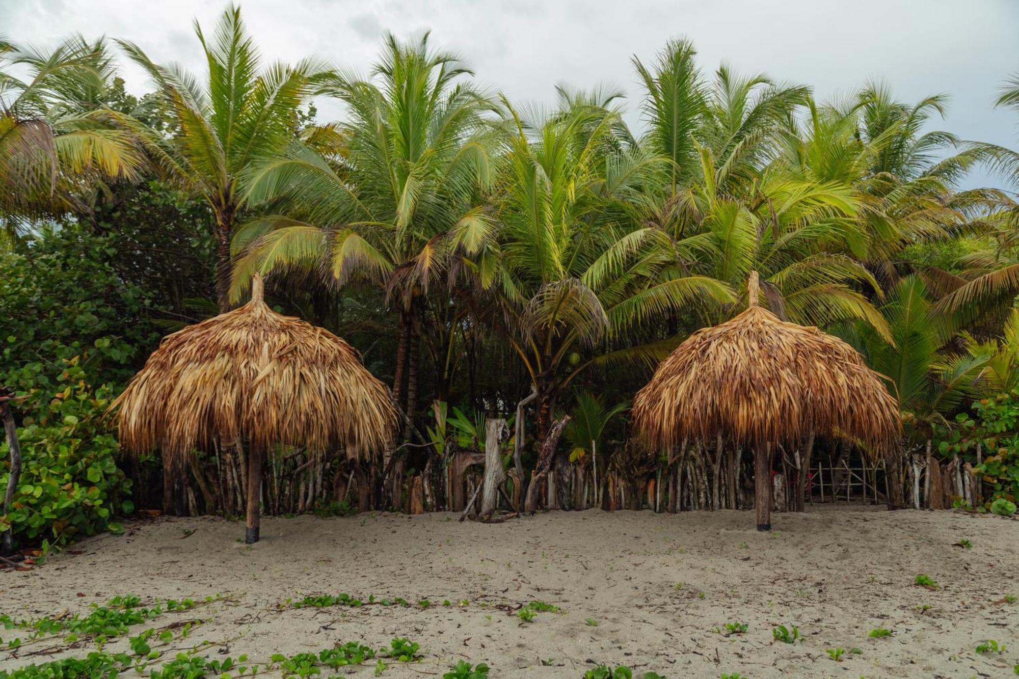 Villa Solea, Tropical