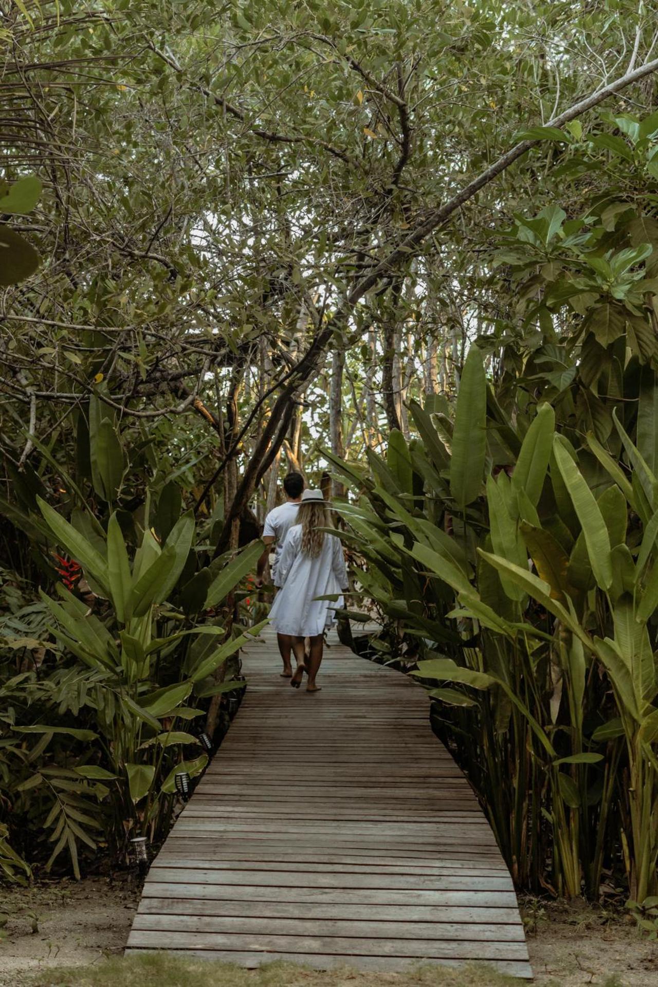 Solea, Tropical Santa Marta (Magdalena)